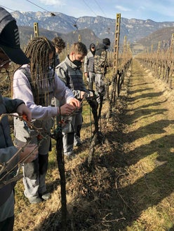 Legatura capo a frutto al filo, alunni  classe I  