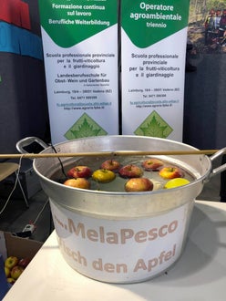 Agrialp: melapesco gioco a premi