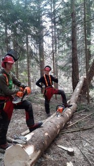FC Corso motosega: corsisti con albero abbattuto