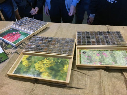 Alunni di III e IV in visita all'azienda Biasion: scatole di differenti sementi utilizzate in azienda