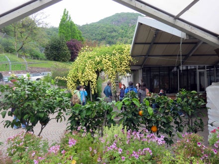 Corso erbe officinali e alimurgiche - gruppo di allievi in attesa della lezione all'ingresso della serra di Laimburg