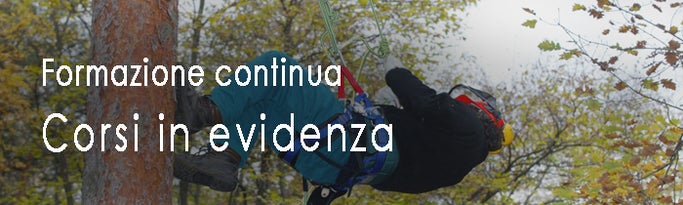 Banner FCSL