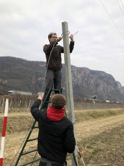 Impianto nuovo meleto, alunni classe III - sistemazione tiranti