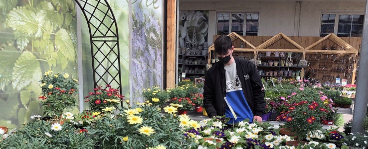 Stage presso aziende partner - giardinieria