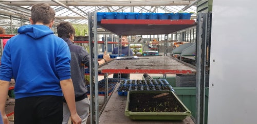 Classe I - attività in serra Laimburg: alunni dispongono ordinatamente i plateaux  con le piantine messe a dimora, nei bancali di raccolta