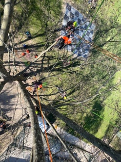 FC corso Tree climbing operatori visti dalla cima dell'albero