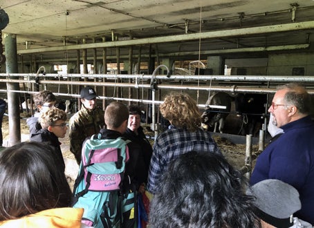 Progetti La prima nel bosco Gita didattica in azienda zootecnica