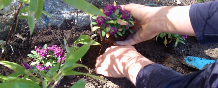 FCSL - corso manutentore del verde