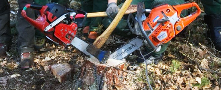 FCLS - motoseghe e ascia: lavori in bosco