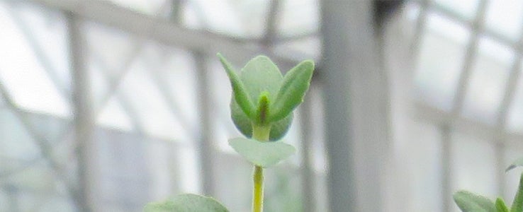 FCSL corsi in evidenza 