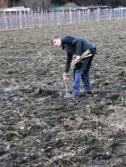 Impianto nuovo meleto, alunni classe III - misurazioni in campo