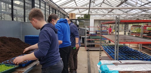 Classe I - attività in serra Laimburg: alunni preparano al bancone i plateaux per le piantine