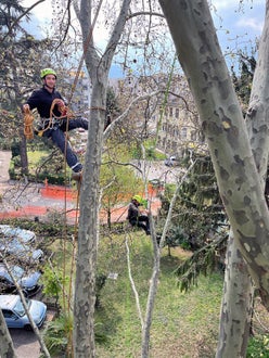 FC: Tree climbing esercitazione salita con funi