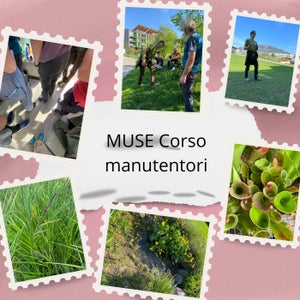 manutentori aprile 2024