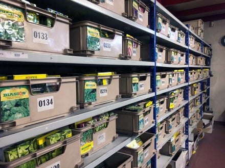 Alunni di III e IV in visita all'azienda Biasion: stoccaggio in  magazzino