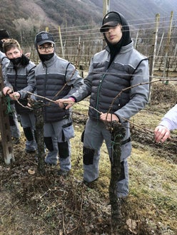 Legatura capo a frutto al filo, alunni  classe I  