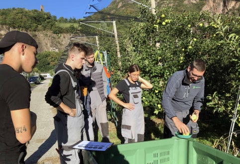 Raccolta mele II: prova di maturazione mele