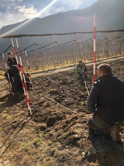 Impianto nuovo meleto, alunni classe III - misurazioni in campo