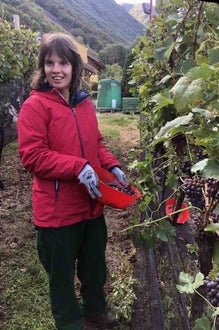 Vendemmia I schiava: alunna tiene in mano un imbuto con l'uva raccolta