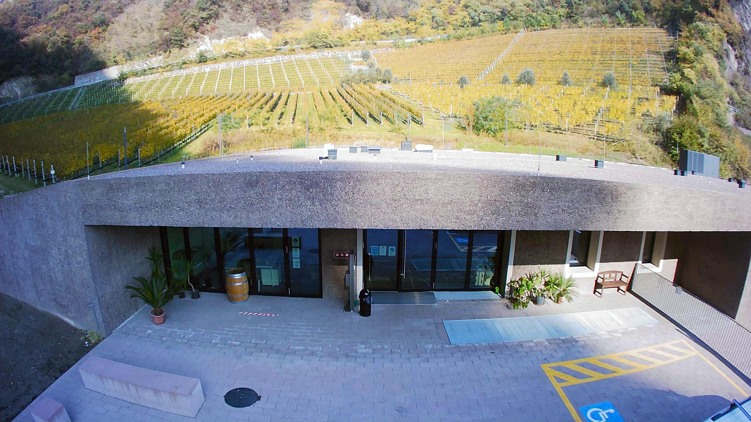 Scuola: ingresso principale edifiico