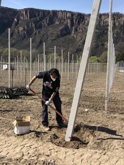 Stage 2021 - operazioni impianto per un nuovo meleto