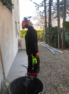 Stage 2022 - al lavoro nei giardini di Trauttmansdorff