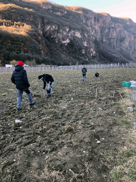 Impianto nuovo meleto, alunni classe III - misurazioni in campo