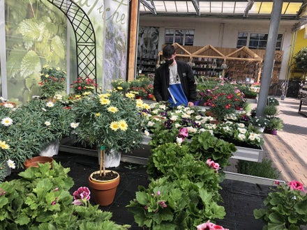 Stage 2021 - floricoltura sistemazione bancali