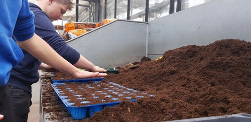 Classe I - attività in serra Laimburg: alunni al bancone dei terricci preparano i plateaux per il picchettaggio delle nuove piantine- dettaglio dell'operazione