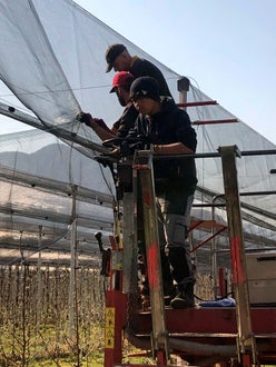 Stage 2022 - al lavoro nei meleti