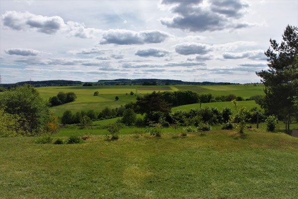 Ein grünes Feld mit Bäumen und Wolken am Himmel
