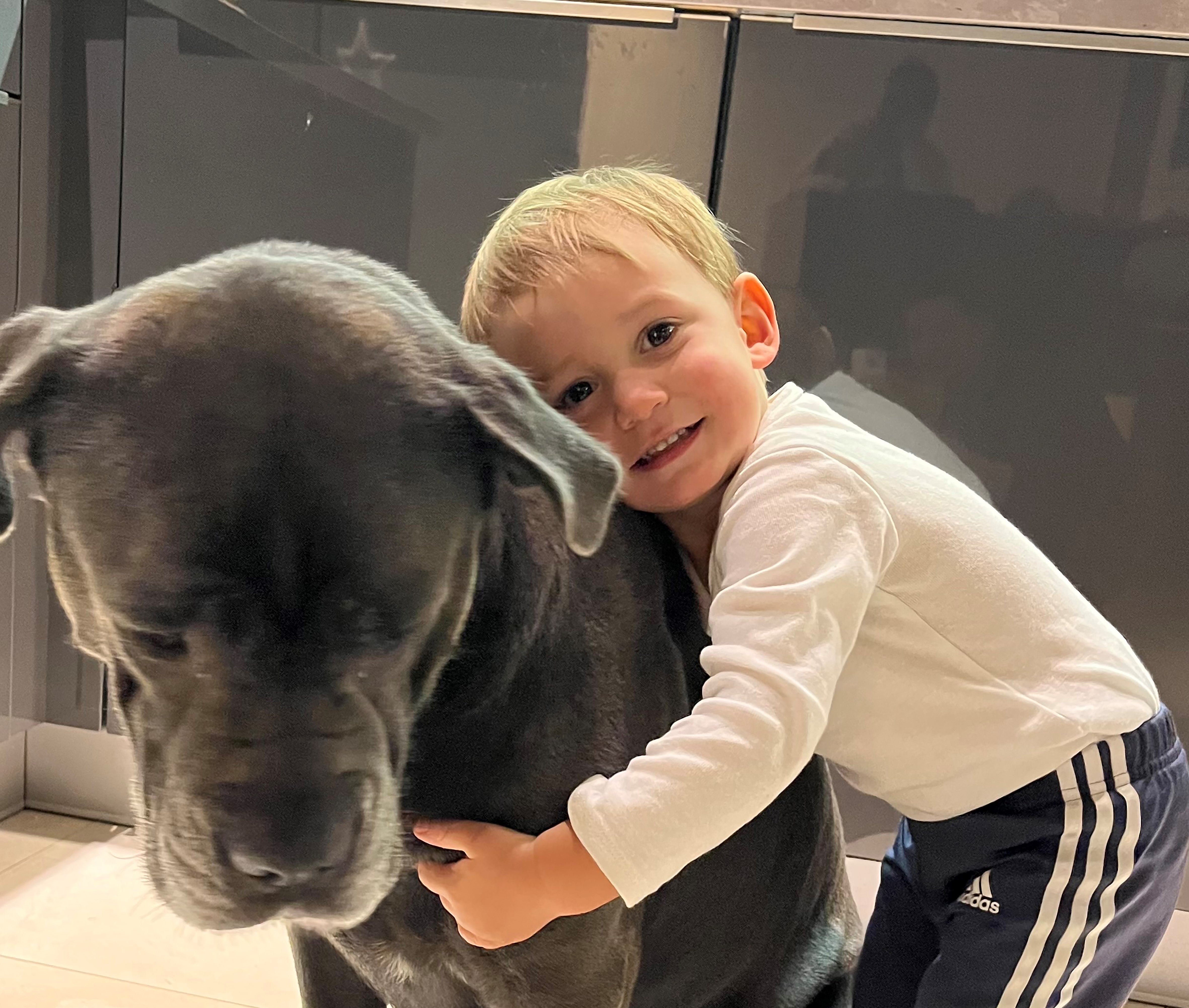 ein kleiner Junge umarmt einen großen Hund