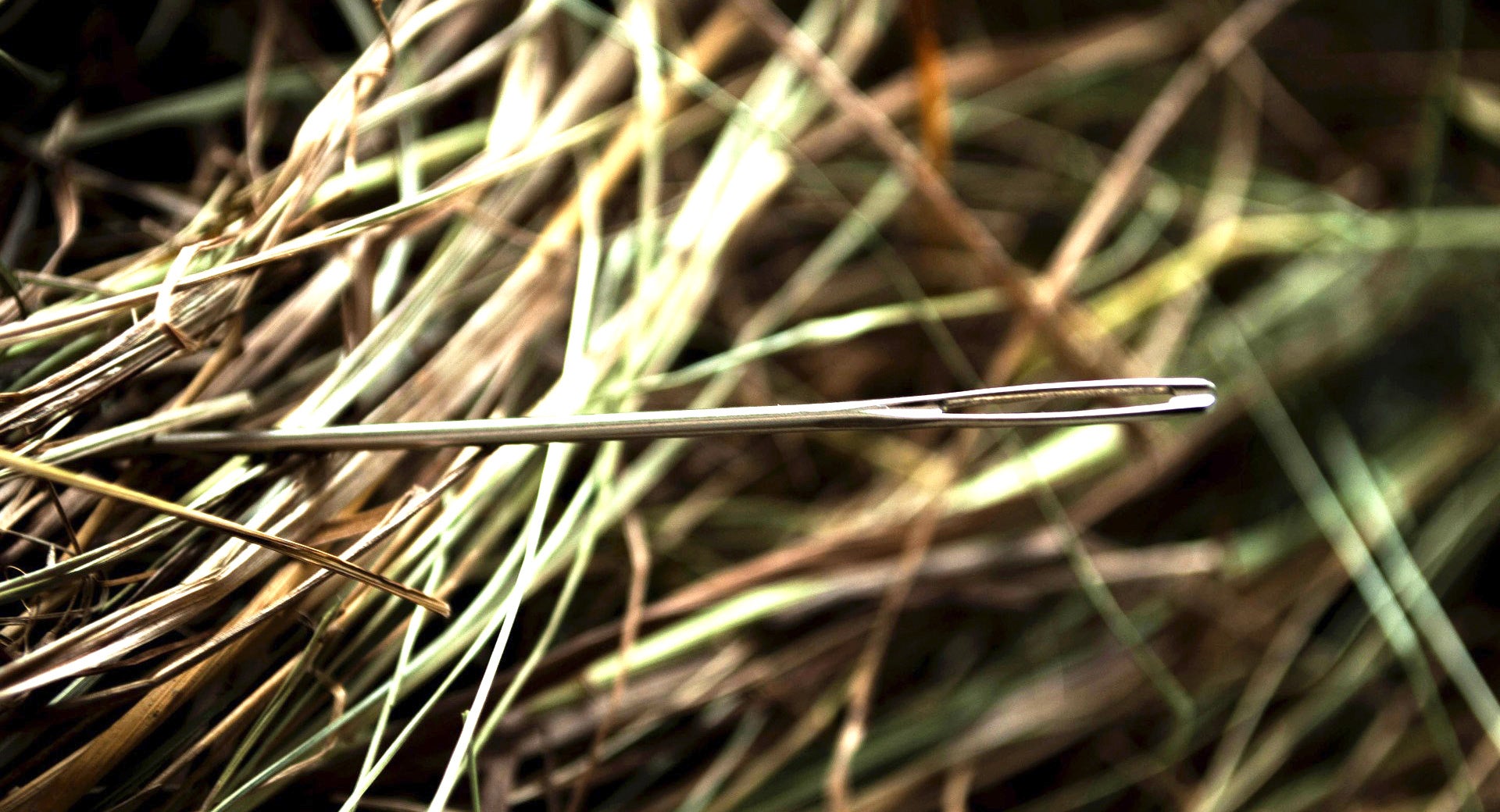 Eine Nadel im Heuhaufen