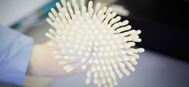 Nahaufnahme eines Bündels von Wattestäbchen