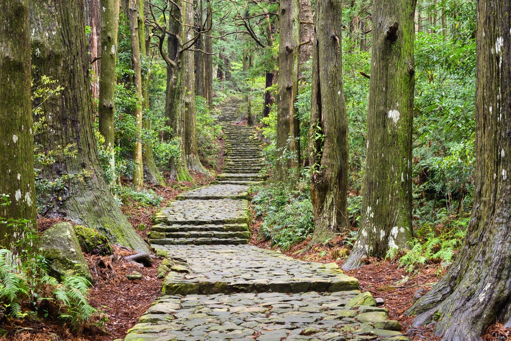 Ein Steinweg im Wald