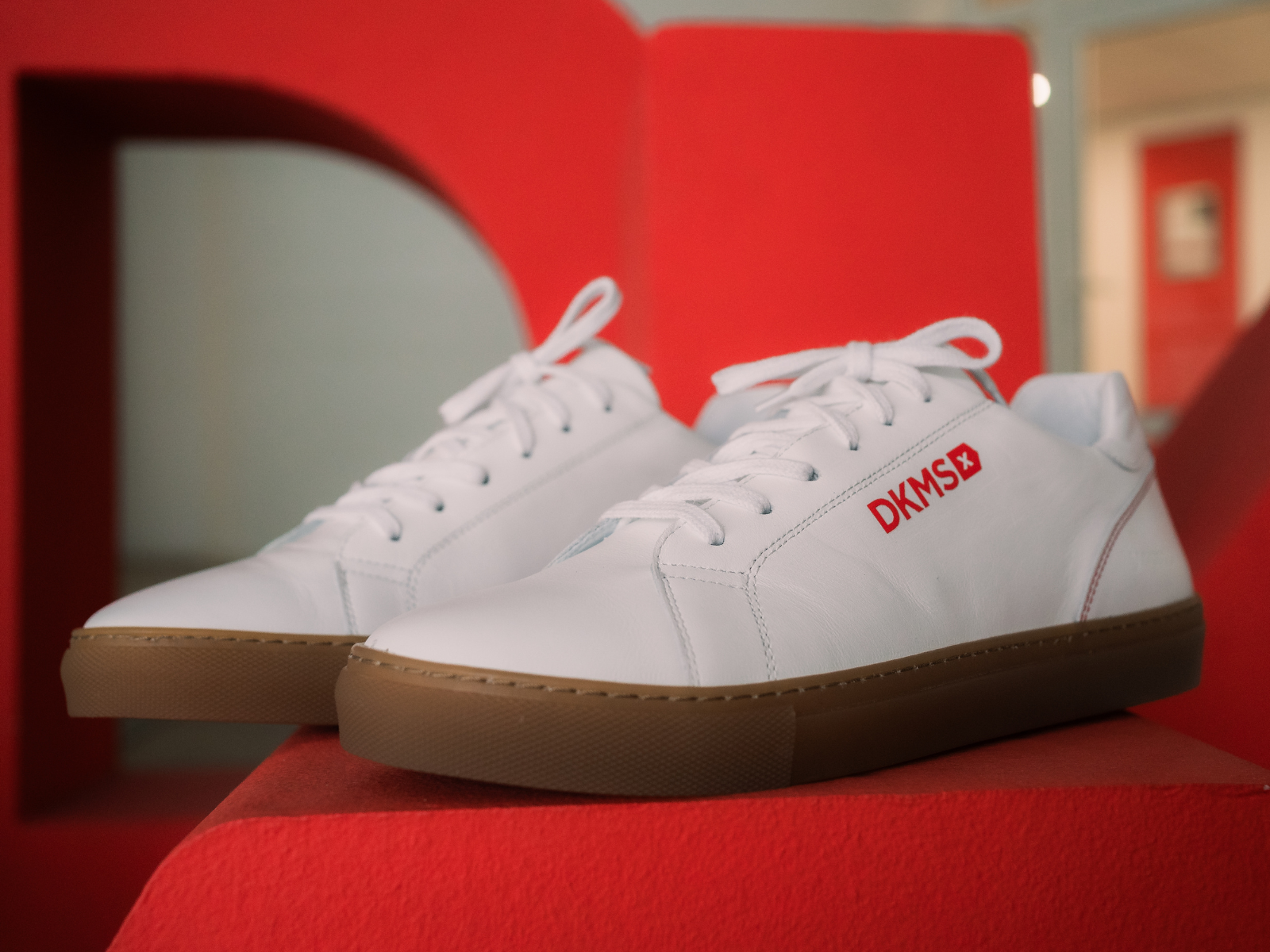 Der erste DKMS Charity Sneaker von IMOTANA 
