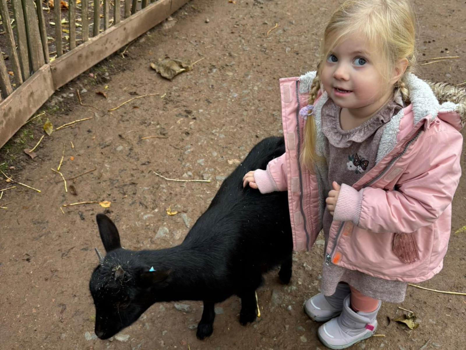 Ein Foto von Lara, die eine Ziege streichelt