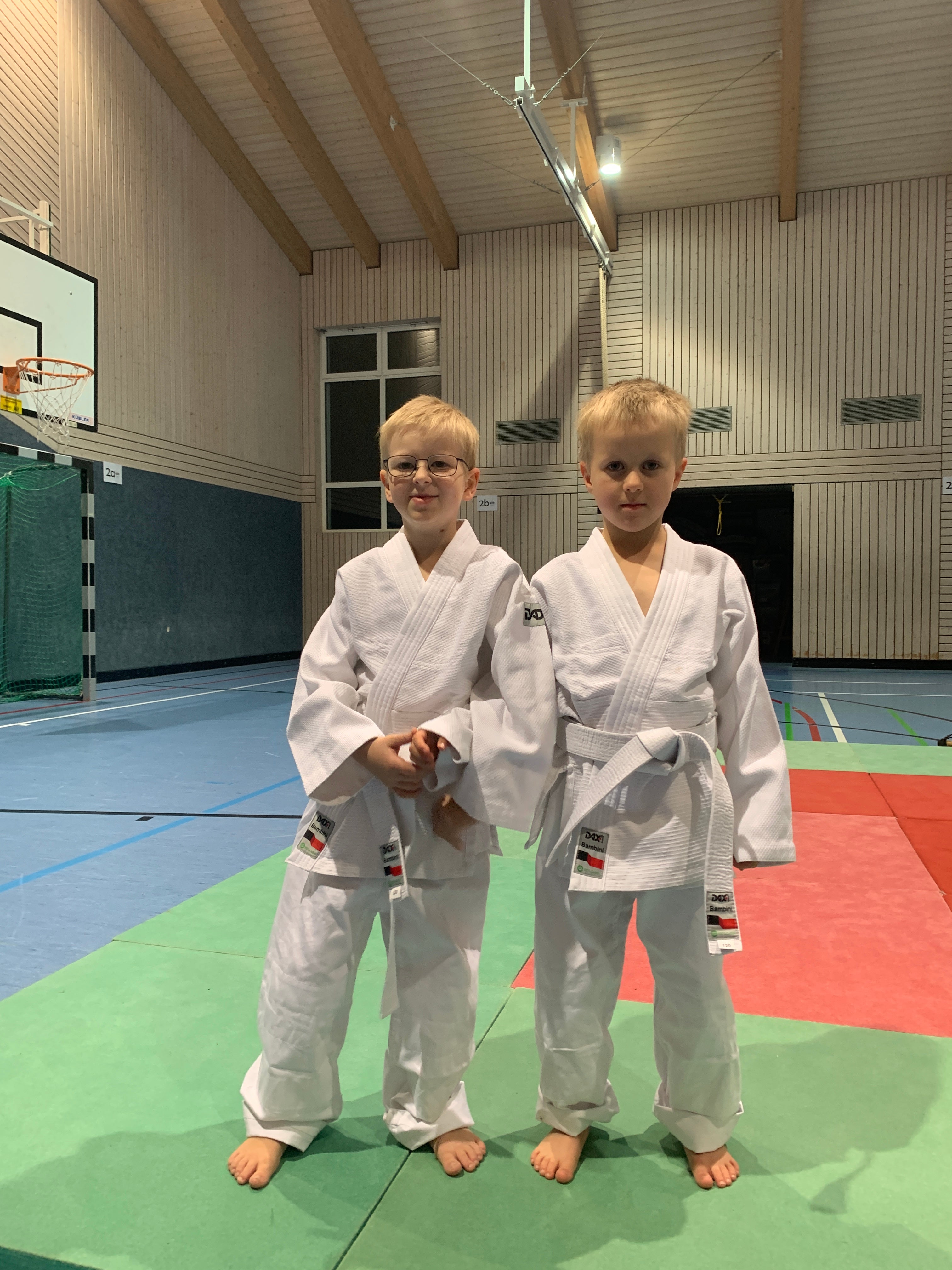 zwei Brüder beim Judo