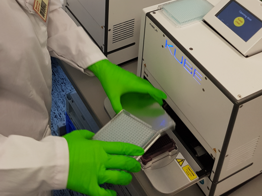 Vom Wattestäbchen zum Stammzellspender