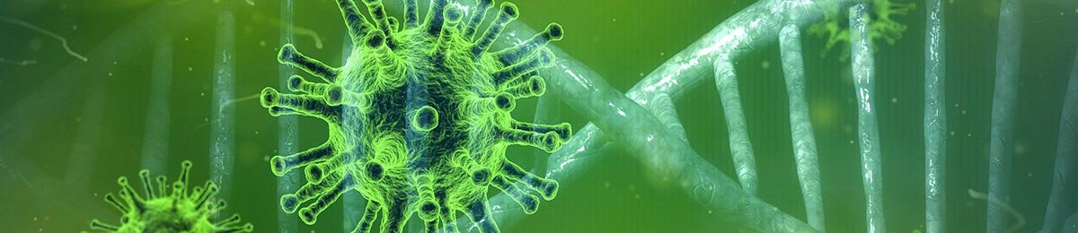 Coronavirus