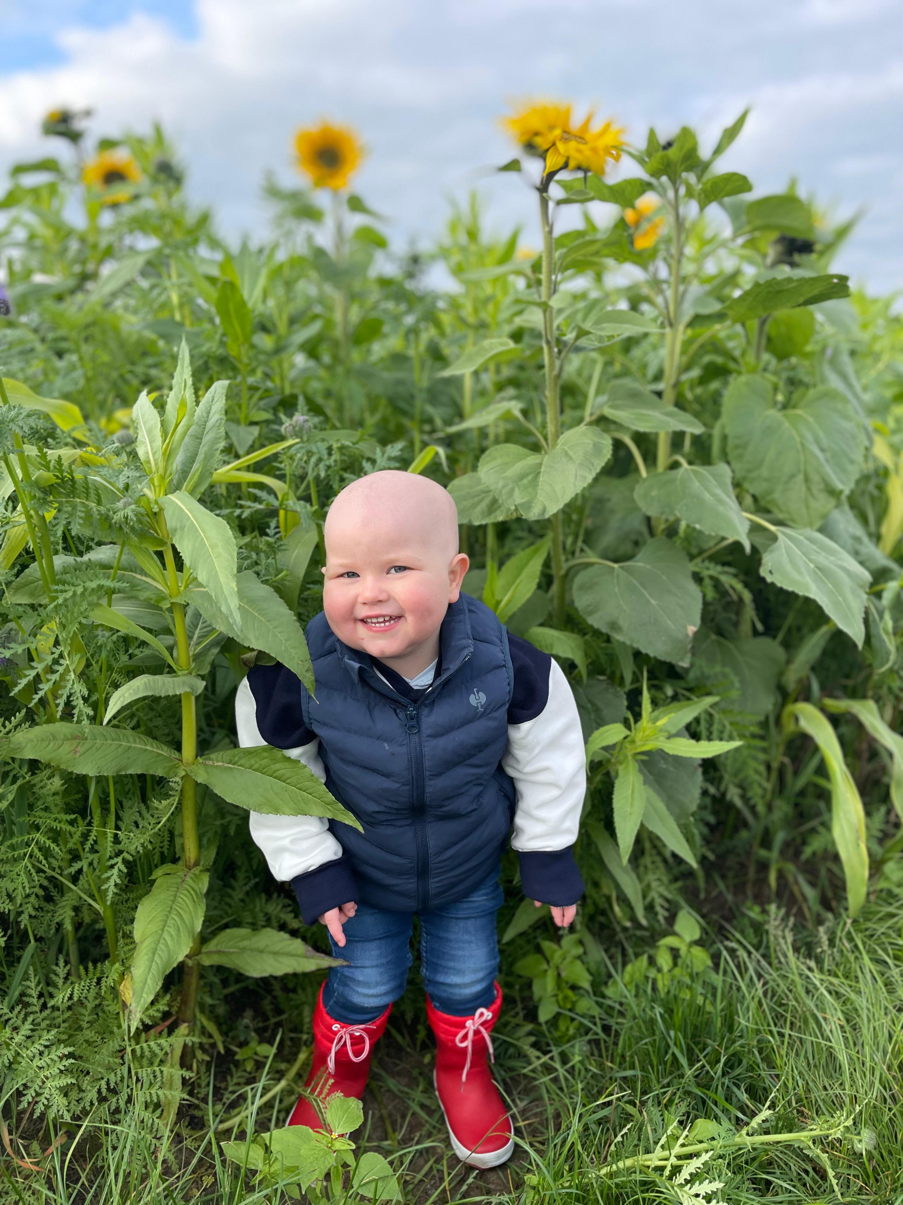 Patient Hannes im Sonnenblumenfeld