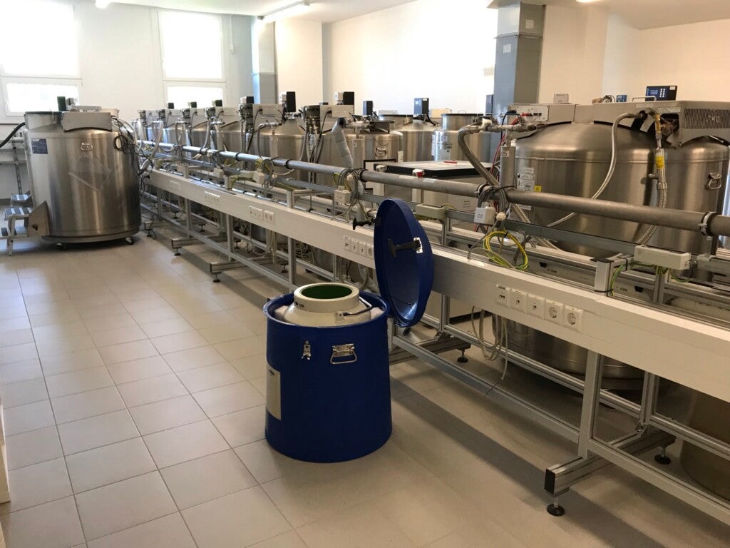 Das Kryo-Lager der DKMS Stem Cell Bank