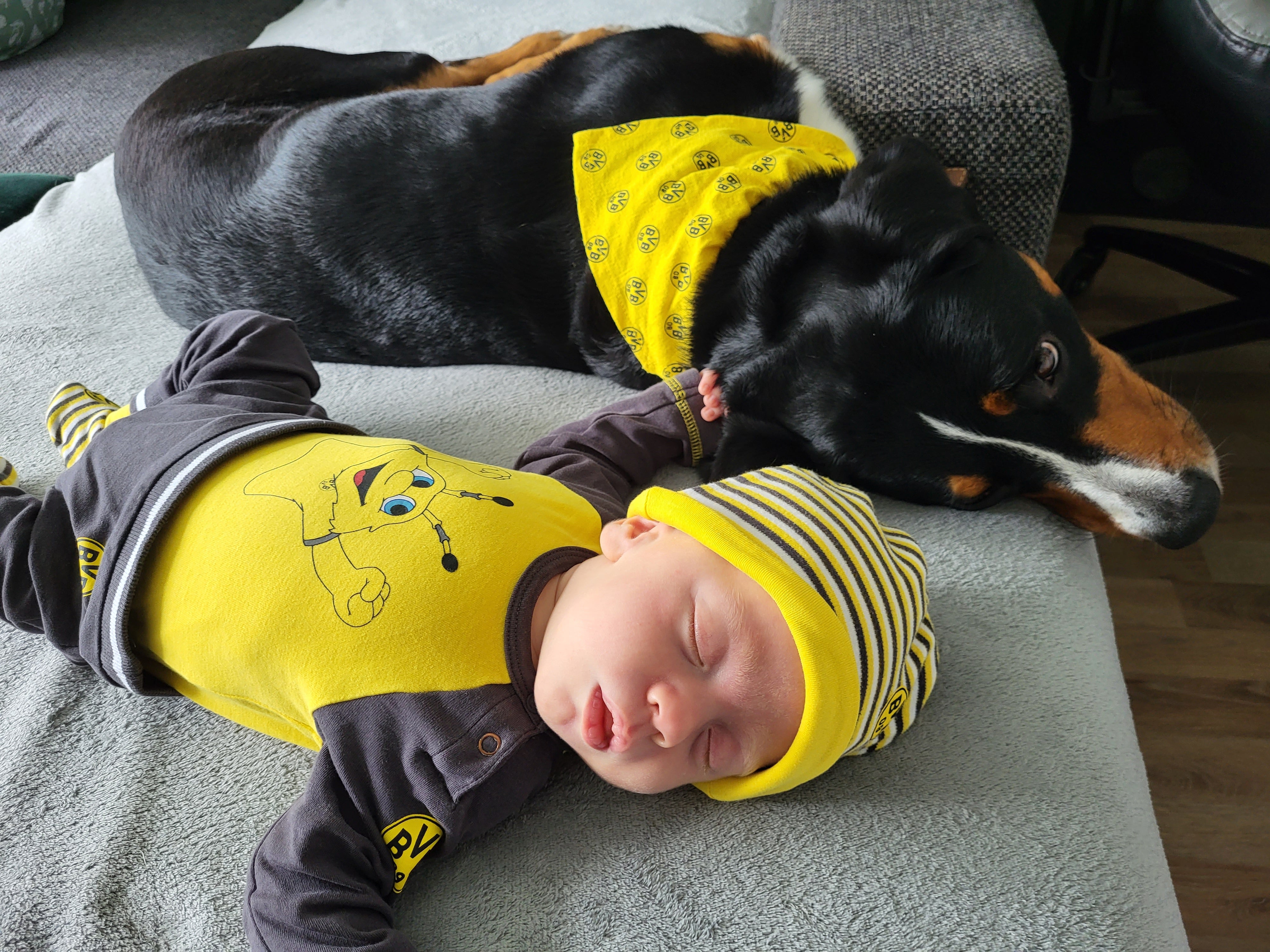 Ein Baby schläft neben einem Hund