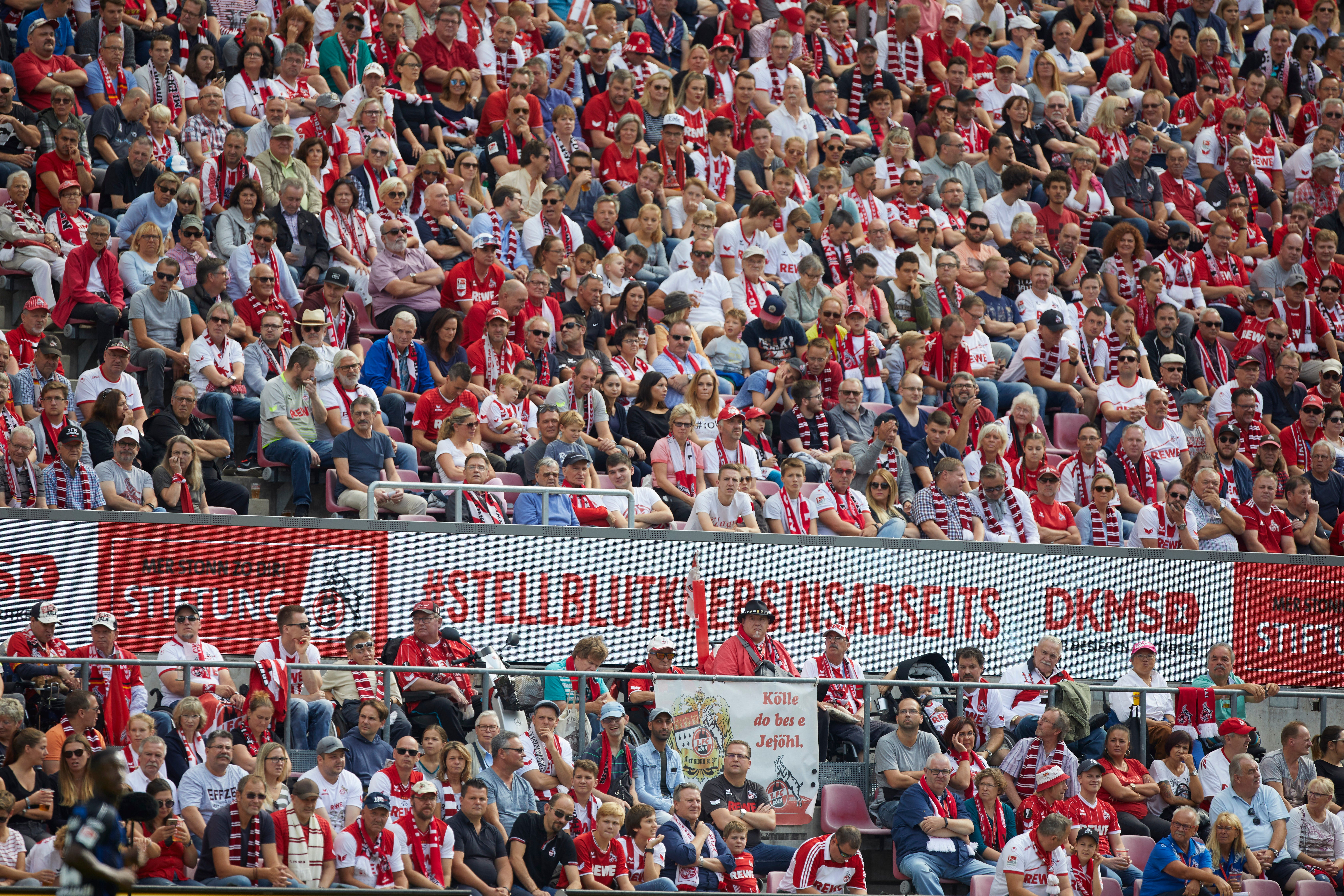 Eine große Menschenmenge in einem Stadion