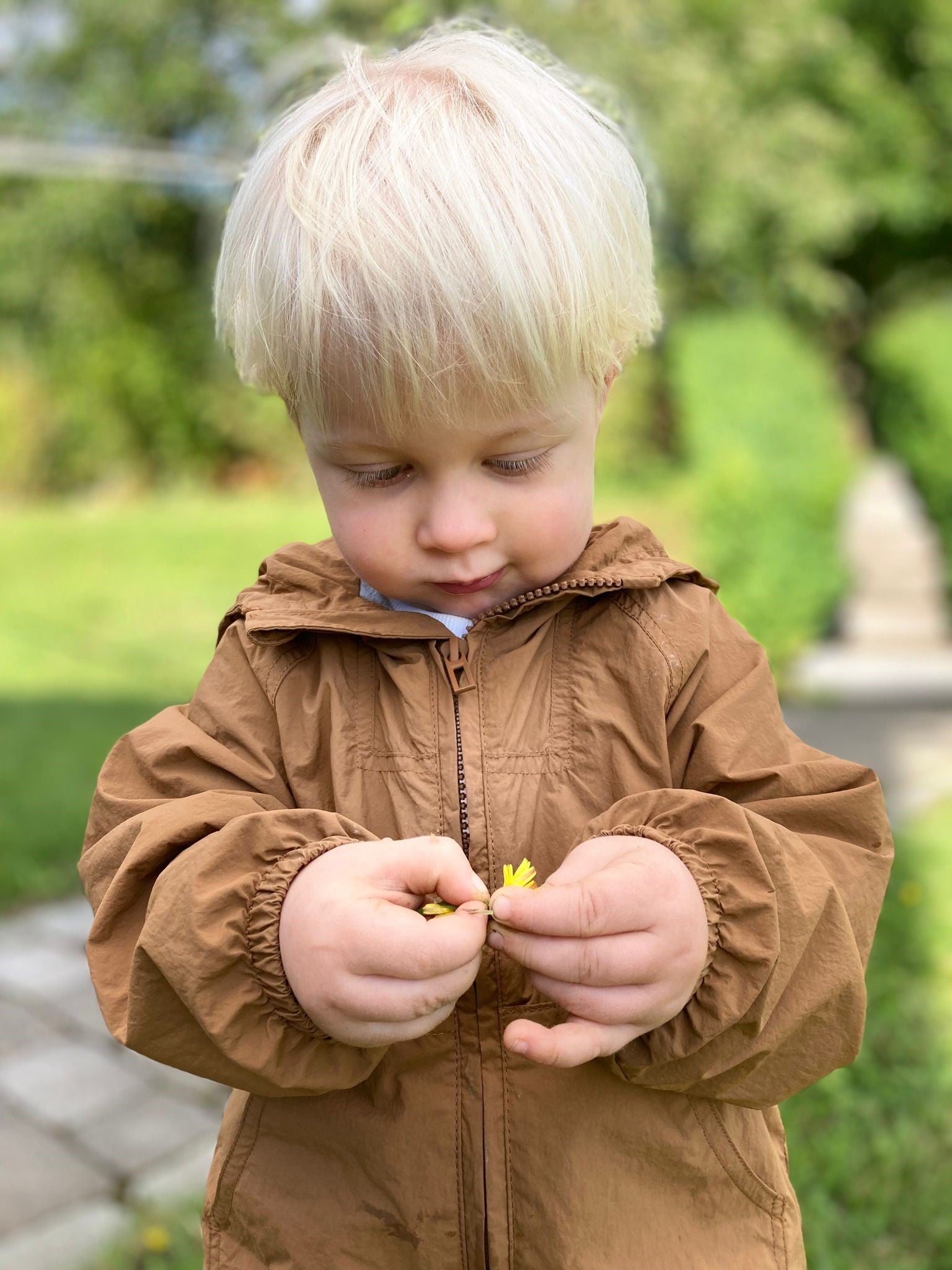 Der kleine Blutkrebspatient Nath mit einer Blüte in der Hand