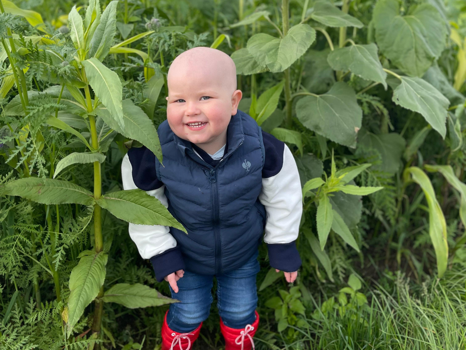 Ein Baby, das in einem Feld voller Pflanzen steht
