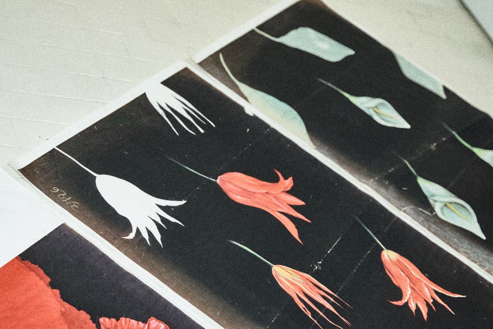 Article card header image