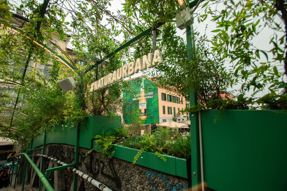 Article card header image