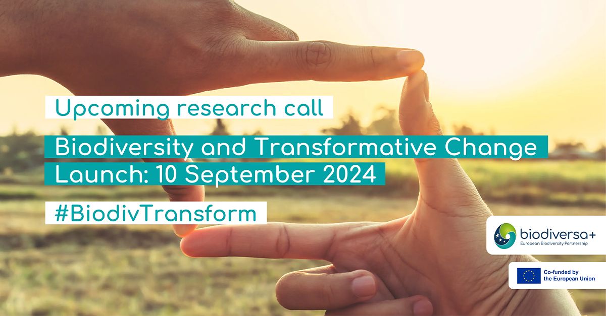 Biodiversity and transformative change: in arrivo il quarto bando Biodiversa+