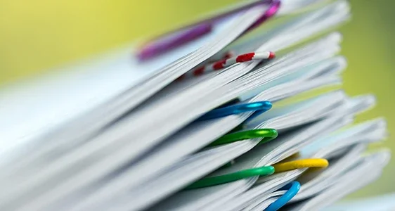 Documenti strategici